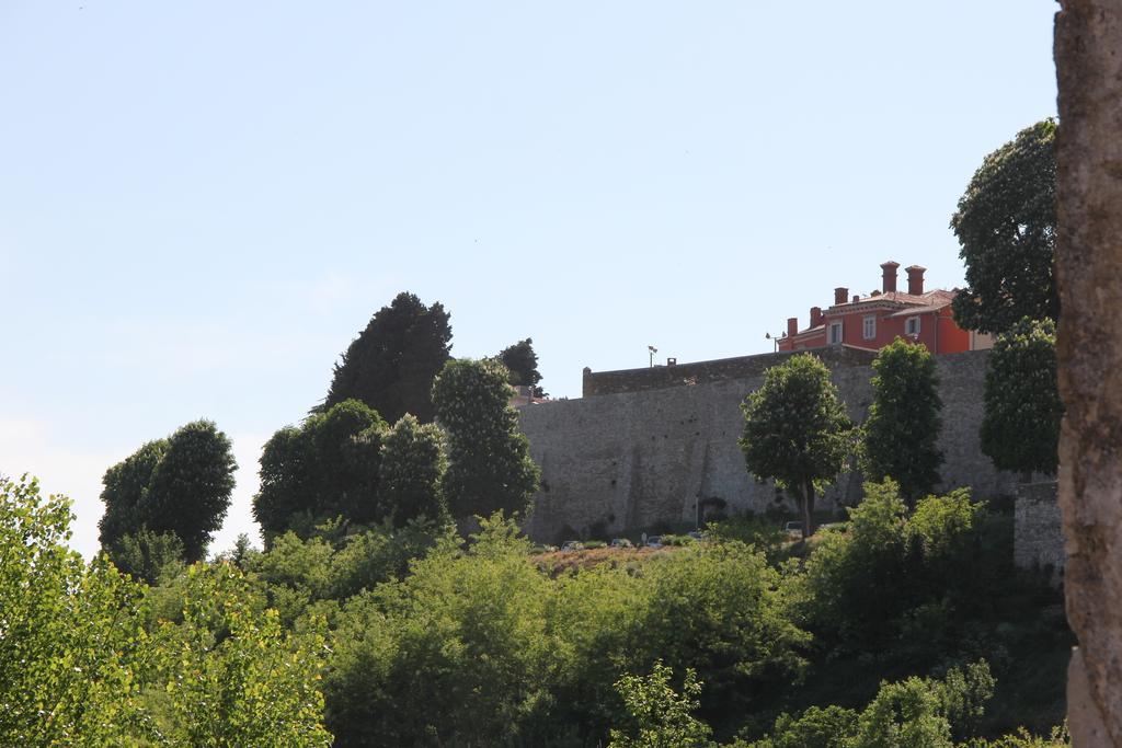 Willa Provvidenza Motovun Pokój zdjęcie